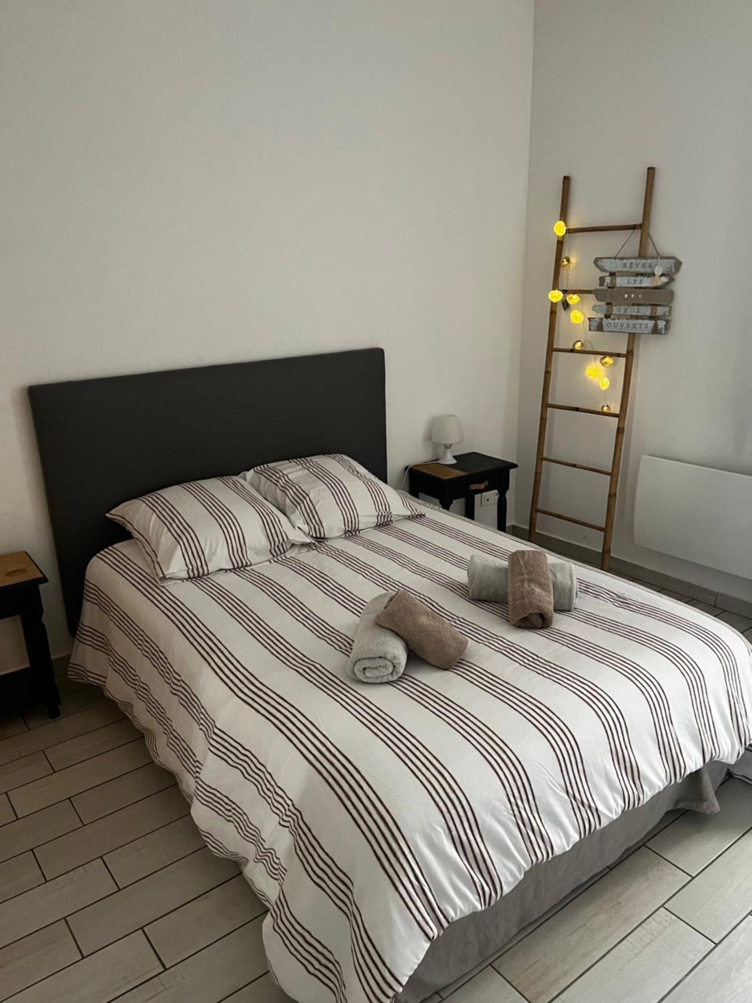 Joli Appartement Hypercentre T2, Classe Meuble De Tourisme 3 Avec Parking Gratuit Béziers Exterior foto